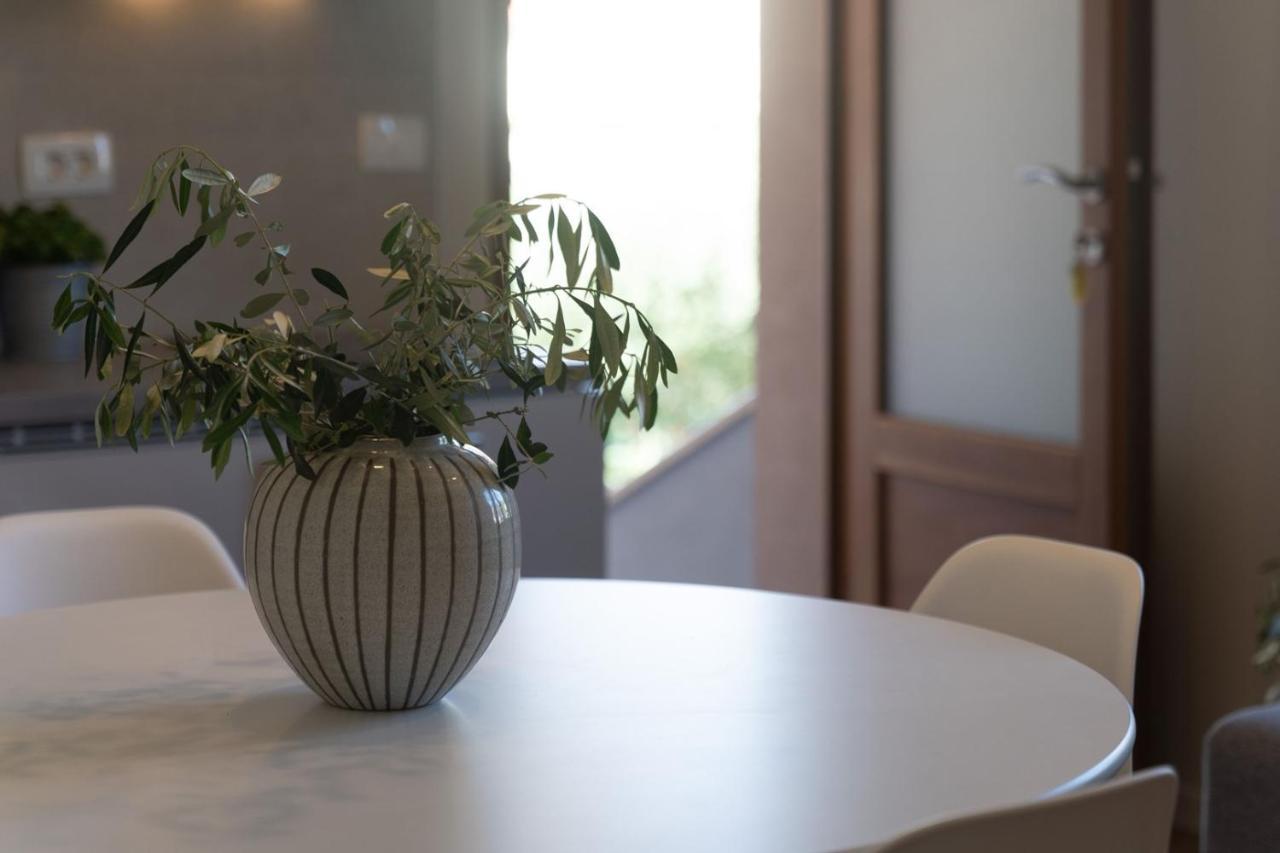 Apartments Alloro By Seeadria Agency Novigrad Istria Εξωτερικό φωτογραφία